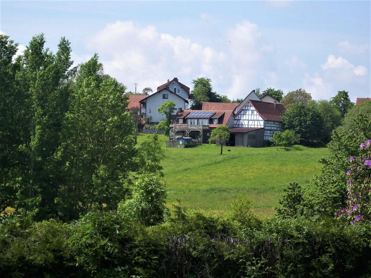 Caecilienhof Apartment Birstein Luaran gambar